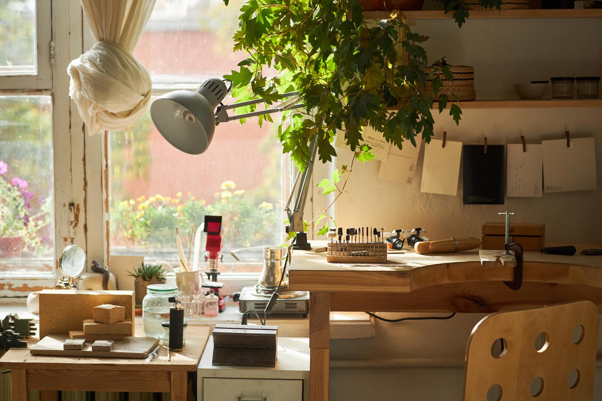 Front of a small production kitchen with natural light